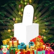 <p>CHRISTMAS BOX 08</p>