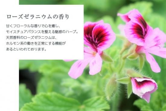 12本 ボトル2本付 Gemid ゼミド シャンプー ノンシリコン 保湿 アミノ酸 ホテル ローズ 詰替用 0ml 12本 アロマ ローズ ゼラニウムの香り 12本 ボトル2本付 Gemid ゼミド シャンプー ノンシリコン 保湿 アミノ酸 ホテル ローズ 詰替用 0ml 12本 アロマ ローズ ゼラニウムの香り