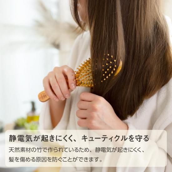ݥԥ֥饷 ͥ