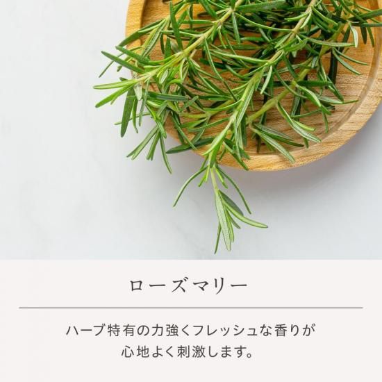  å󥷥륪 ޥ꡼ 10mL