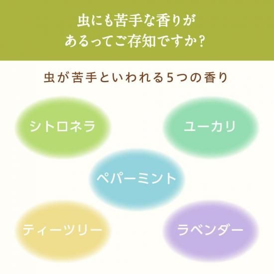  ֥ å󥷥륪 ѡ饤 νФ뵨ᡦȥɥˡ 10ml