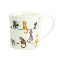 ̡ޥåסORKNEY LIVE WIRES CAT