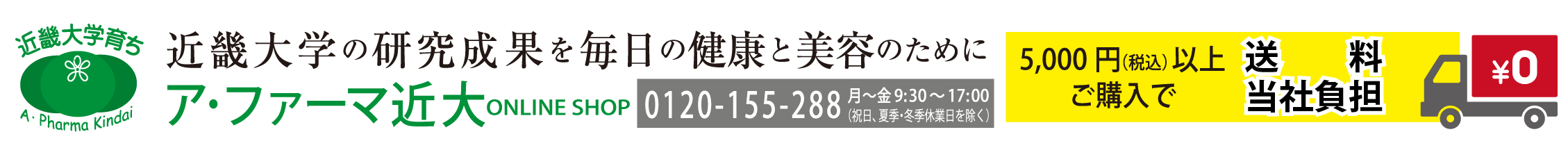 ե޶硡饤󥷥å
