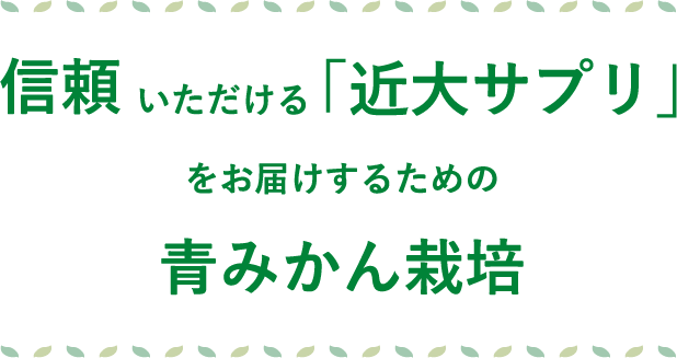 信頼いただける「近代サプリをお届けするための青みかん栽培」