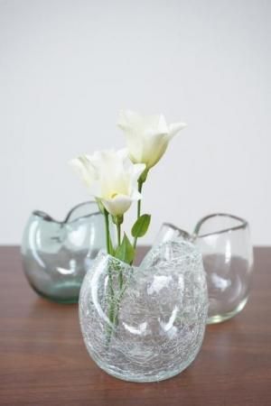 <img class='new_mark_img1' src='https://img.shop-pro.jp/img/new/icons5.gif' style='border:none;display:inline;margin:0px;padding:0px;width:auto;' /> Rainbow Leafޤ