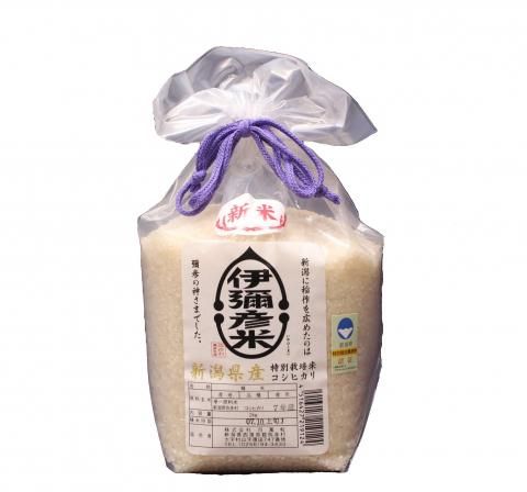 ʡ1367ǯϿơ׽ɧ ̺ƥҥ2