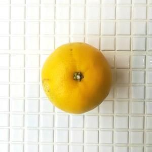 졼ץե롼ġʼ縩