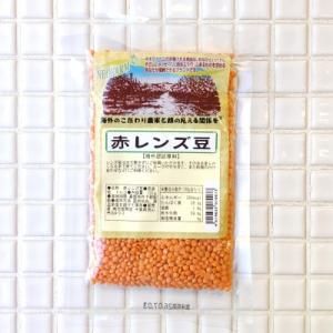 ֥Ʀ120g