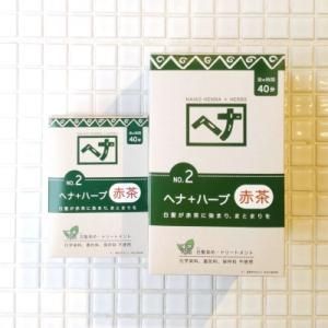 天然ヘナ+10種のハーブ 100g