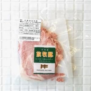 ڸ饤3mmˡʡۡ170g