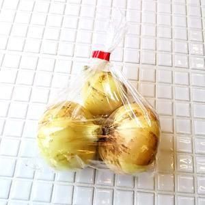 玉ねぎ オーガニック 自然食品専門店 らる畑 玉ねぎ オーガニック 自然食品専門店 らる畑