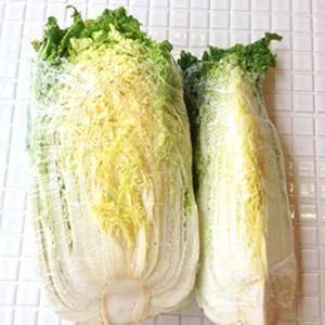 <img class='new_mark_img1' src='https://img.shop-pro.jp/img/new/icons13.gif' style='border:none;display:inline;margin:0px;padding:0px;width:auto;' /> 1̡̳ƻ