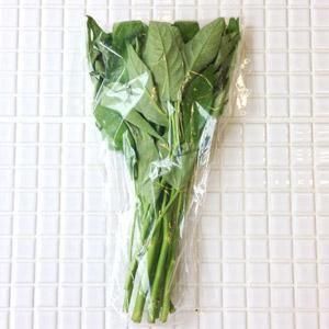 ڡ̳ƻ