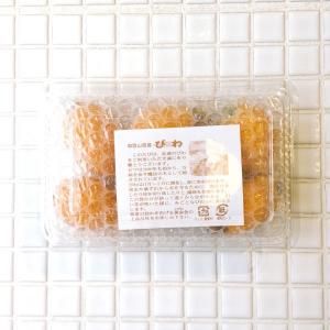 <img class='new_mark_img1' src='https://img.shop-pro.jp/img/new/icons13.gif' style='border:none;display:inline;margin:0px;padding:0px;width:auto;' />Ӥɸ