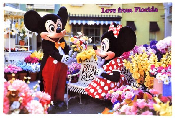 Disney Vintage Post Card ディズニー ヴィンテージ ポストカード ミッキー ミニー 3050so おもちゃ屋 Knot A Toy ノットアトイ Online Shop In 高円寺