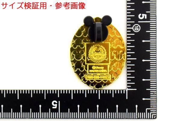 US.Disneyland・Princess Silhouette Cameo・Pin Badge