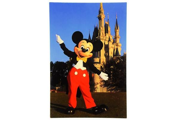 Walt Disney World・VINTAGE POST CARD/ウォルトディズニーワールド・ヴィンテージ・ポストカード 「ミッキーマウス・マジックキングダム・シンデレラ城」 KNot a TOY/ノットアトイ ディズニー ポストカード シンデレラ城…