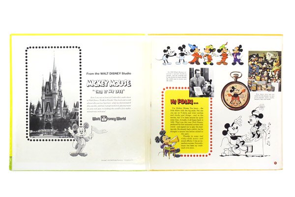 Disneyland RECORD/ディズニーランドレコード・ヴィンテージLP