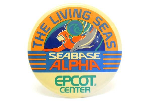 バッジ　海外　ディズニー　USA Epcot center エプコット　レア バッジ 海外 ディズニー USA Epcot center エプコット レア WDW