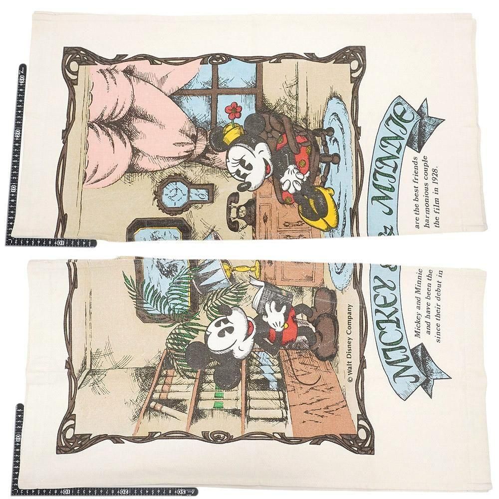 Walt Disney Companyウォルトディズニーカンパニー・ASWAN/アスワン