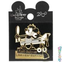 ディズニーワールド ピンバッジセット（5個）Disney World Pins ④【WDW購入】 ウォルトディズニーワールド ピンバッジセット