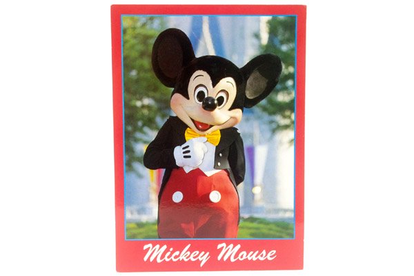 Disney Vintage Post Card ディズニー ヴィンテージ ポストカード Mickey Mouse ミッキーマウス おもちゃ屋 Knot A Toy ノットアトイ Online Shop In 高円寺