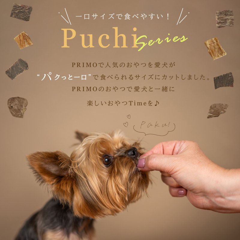 カットおやつ】牛肉ジャーキー (プチ） 50g 犬のおやつ カットおやつ