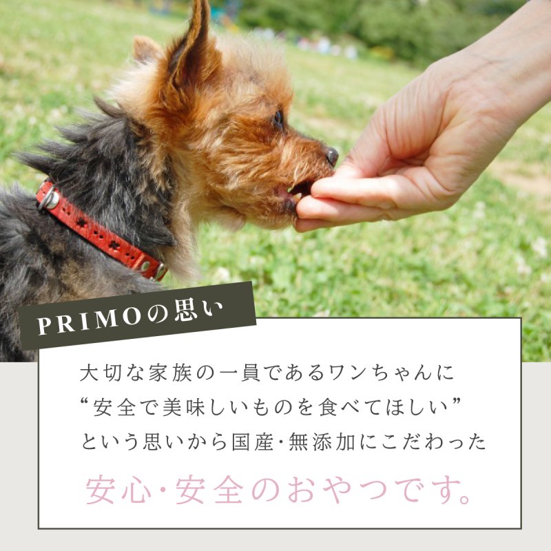 カットおやつ】牛肉ジャーキー (プチ） 50g 犬のおやつ カットおやつ