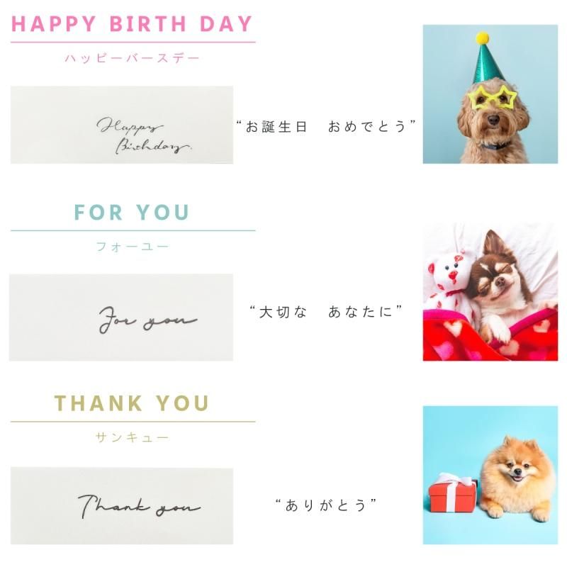 ギフトセット】TSUNAGU 犬 ギフト セット プレゼント 誕生日