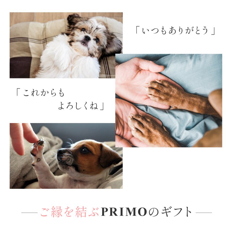 プチギフト】MUSUBI 3個セット 犬 ペット ギフト セット プレゼント シェア 誕生日 お祝い 犬用ギフト メッセージ 無添加 おやつ 贈り物  子犬 thank you ありがとう クリスマス 詰め合わせ いぬ 国産 愛犬 わんこ お散歩 ワン友 可愛い ラッピング