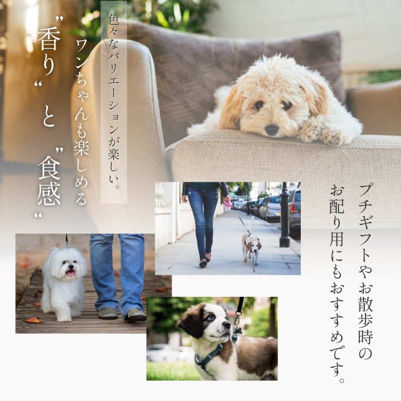 プチギフト】MUSUBI 5個セット 犬 ペット ギフト セット プレゼント