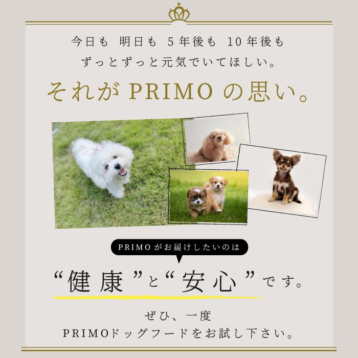 犬用 ドライフード PRIMO ベーシック 6㎏ 総合栄養食 プリモ 無添加 