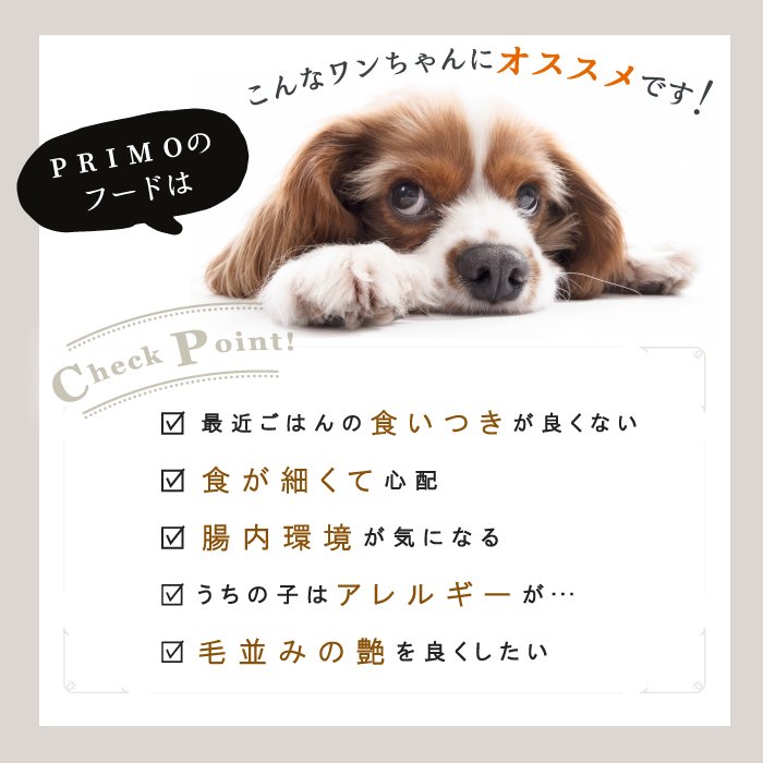 犬用 ドライフード PRIMO ベーシック 6㎏ 総合栄養食 プリモ 無添加 