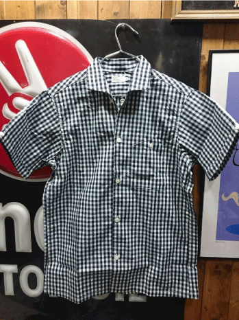 WAREHOUSE Lot 3091 S/S OPEN COLLAR SHIRTS ギンガムチェック(大