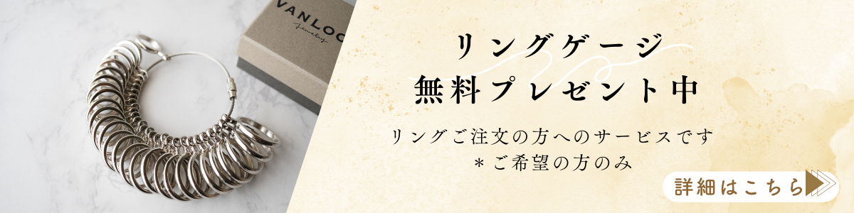 �������ץ쥼���