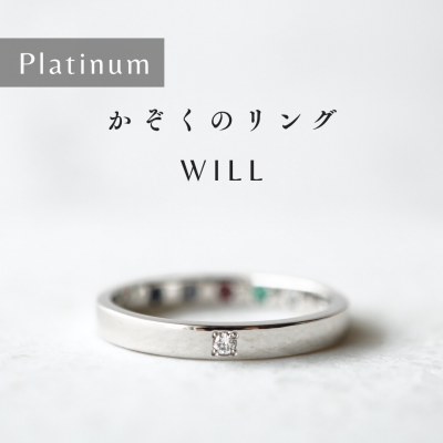 [VANLOON] Platinum [Υ - WILL]