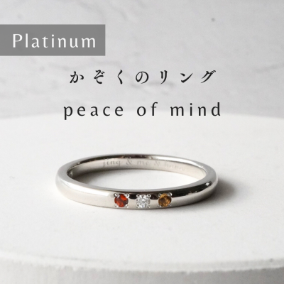 [VANLOON] Platinum [Υ - peace of mind]