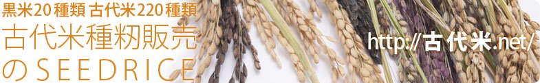 黒米20種類 古代米220種類 古代米種籾販売のSEEDRICE(http://古代米.net)