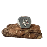 <img class='new_mark_img1' src='https://img.shop-pro.jp/img/new/icons15.gif' style='border:none;display:inline;margin:0px;padding:0px;width:auto;' />LHN JEWELRY Star Ring SILVER