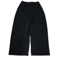 <img class='new_mark_img1' src='https://img.shop-pro.jp/img/new/icons15.gif' style='border:none;display:inline;margin:0px;padding:0px;width:auto;' />AXESQUIN WARM BIG PANTS Black