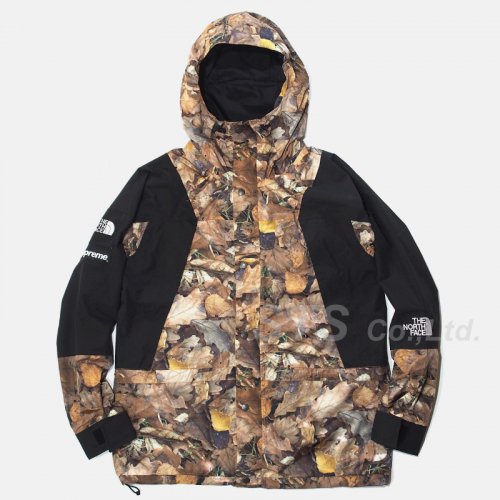 Supreme/The North Face Mountain Light Jacket