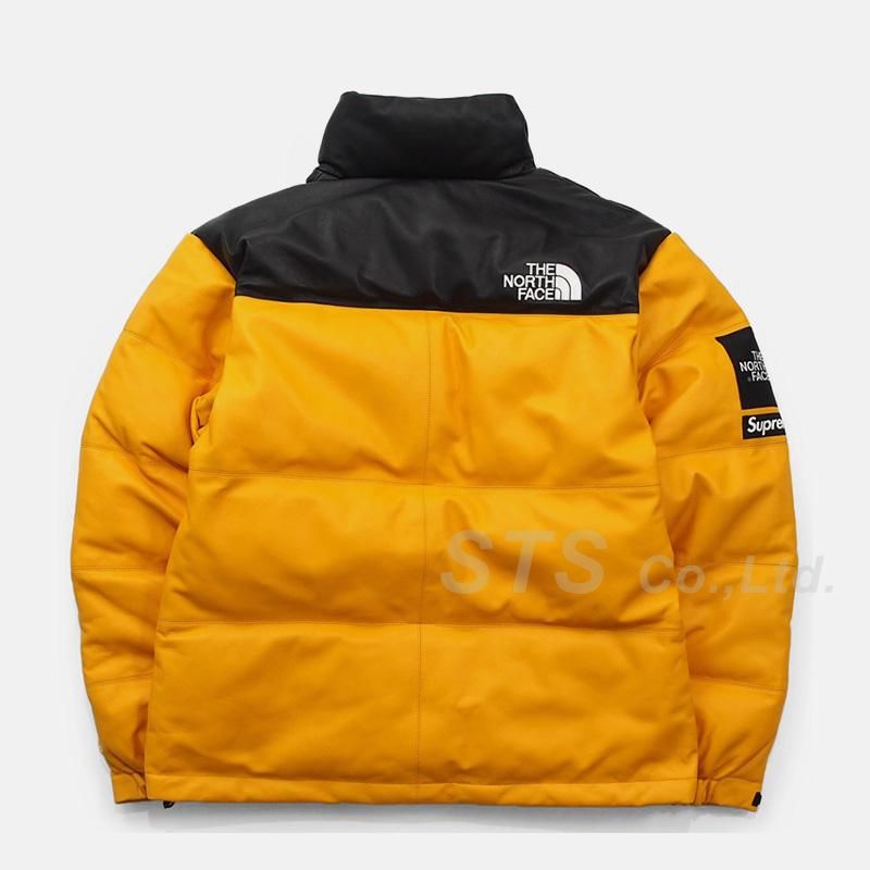 Supreme/The North Face Leather Nuptse Jacket - ParkSIDER