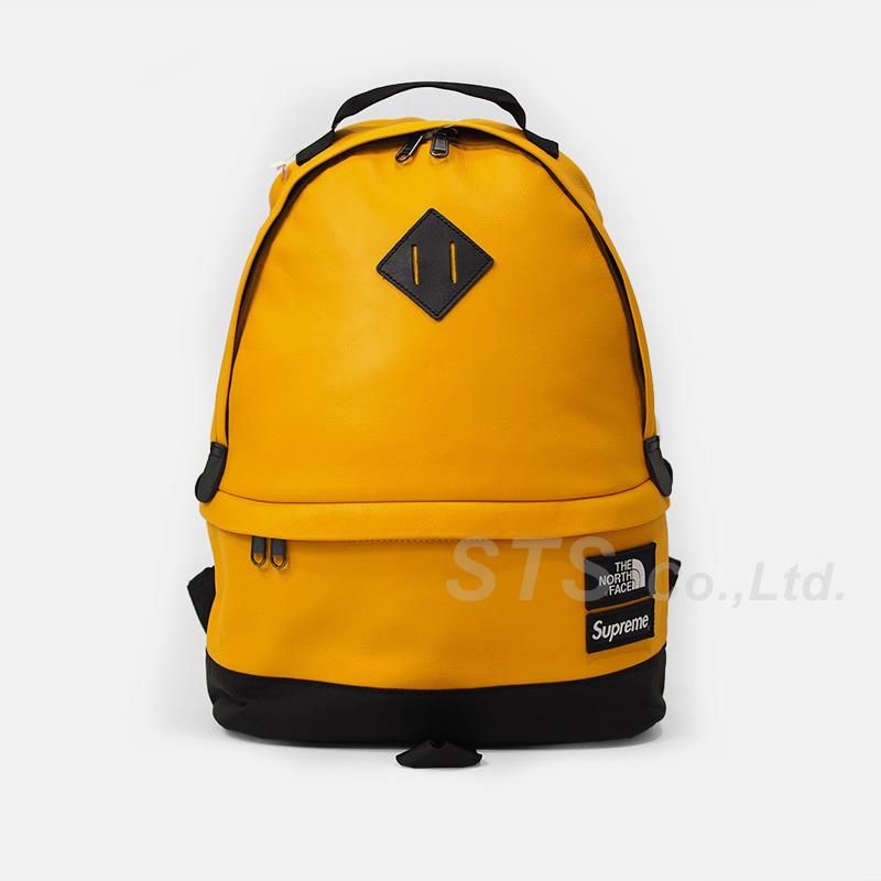 Supreme/The North Face Leather Day Pack - ParkSIDER