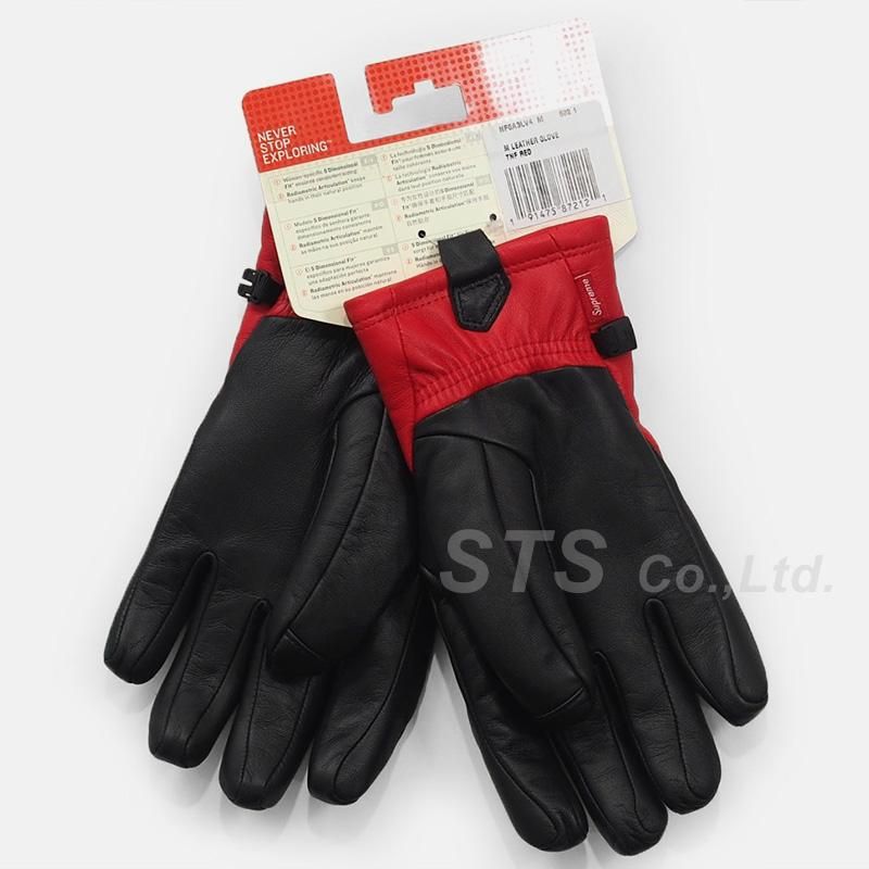 Supreme/The North Face Leather Gloves - ParkSIDER