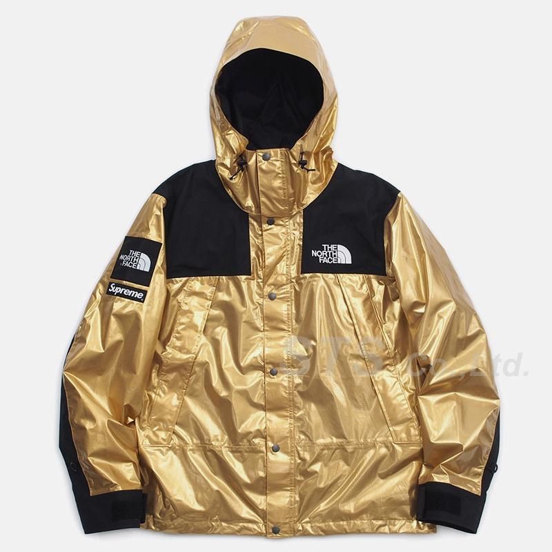 supreme the north face メタリックマウンテンパーカー