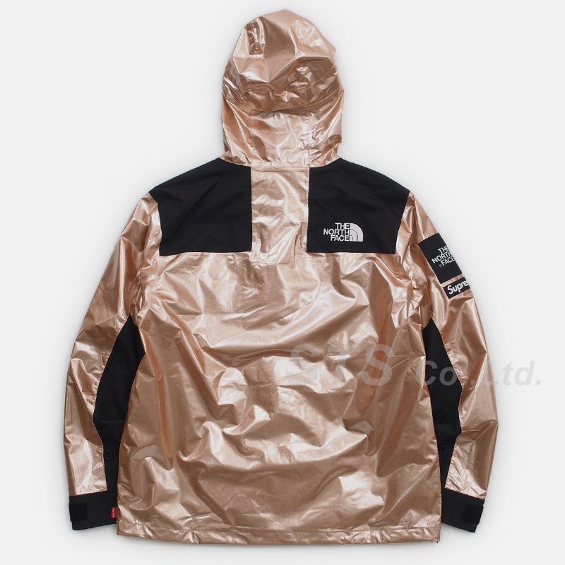 Supreme/The North Face Metallic Mountain Parka - ParkSIDER