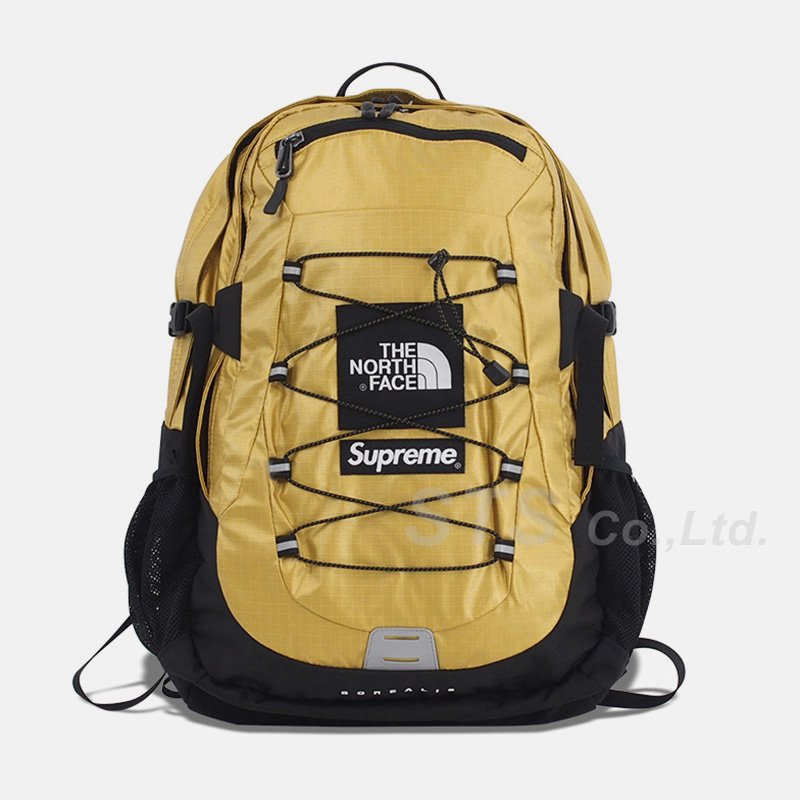 Supreme/The North Face Metallic Borealis Backpack - ParkSIDER