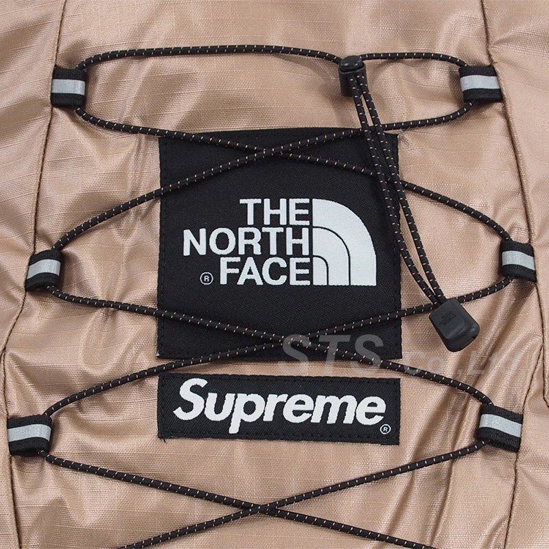 Supreme/The North Face Metallic Borealis Backpack - ParkSIDER