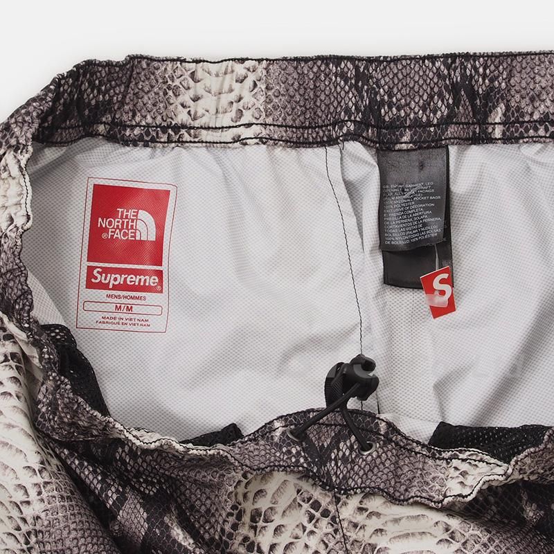 Supreme/The North Face Snakeskin Taped Seam Pant - ParkSIDER