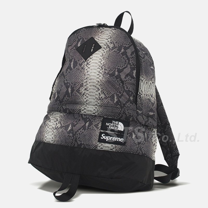 suprem the north face day pack リュック